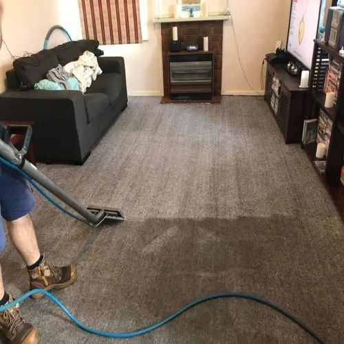 Carpet Cleaning The Hammocks FL Results 3