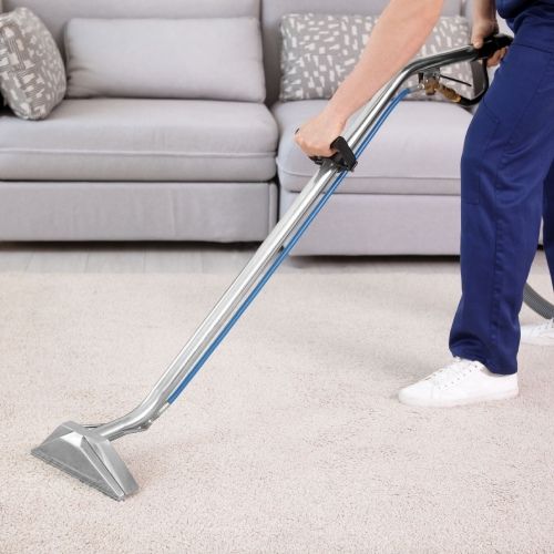 Professional Carpet Cleaning Westchester FL