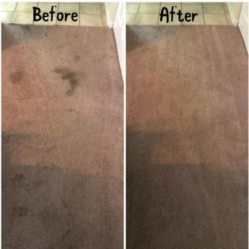 Stain Removal Kendall Fl Results 3