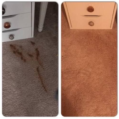 Stain Removal South Miami Heights Fl Results 2