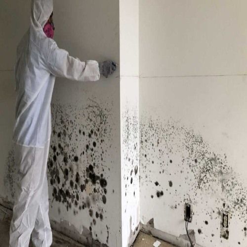 Mold Remediation Cutler Bay FL Results 2