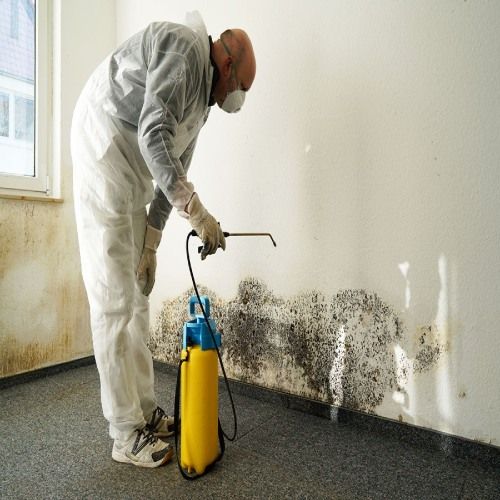 Mold Remediation Cutler Bay FL Results 1