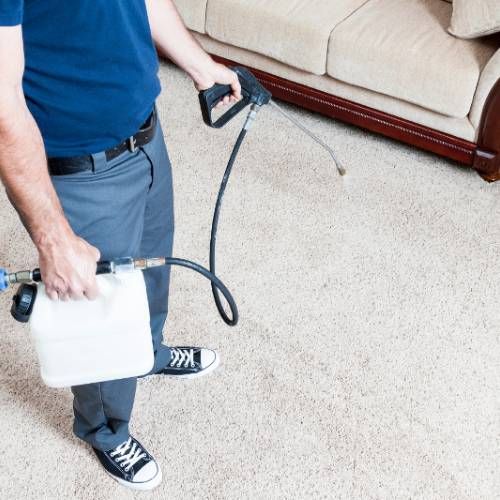 Carpet Protection Three Lakes Fl Results 2