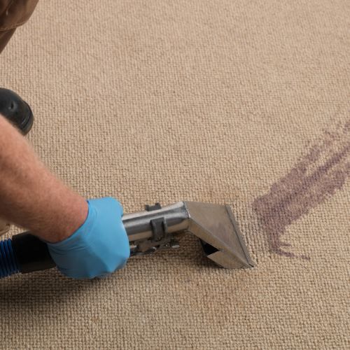 Professional Stain Removal Medley Fl