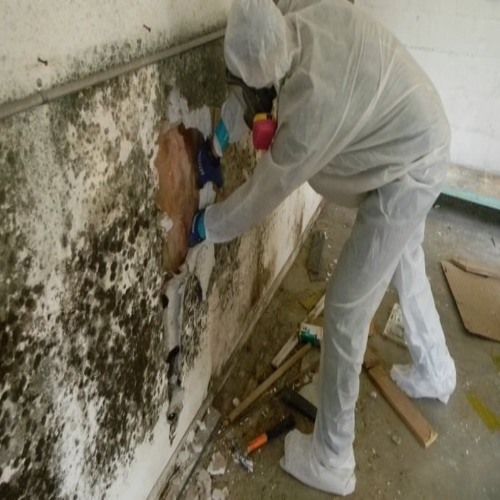Mold Remediation Fort Lauderdale FL Results 3