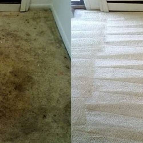 Carpet Cleaning Miami FL Results 3