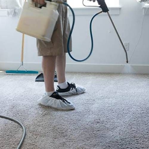 Carpet Protection Westchester Fl Results 3