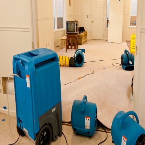 Water Damage Restoration Three Lakes FL Results 2