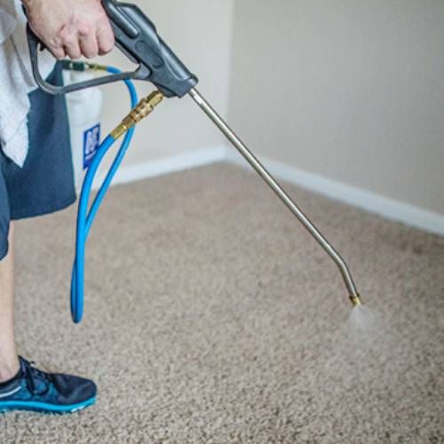 Carpet Protection Medley Fl Results 1
